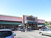 【スーパー】ニシナ　羽島店まで1500ｍ