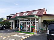 【その他】大阪屋さんまで220ｍ