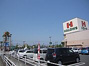 【スーパー】ハローズ　田ノ上店まで500ｍ