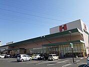 【スーパー】ハローズ花尻店まで650ｍ
