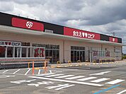 【スーパー】食生活ロピア柳津店まで850ｍ