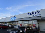 【ドラッグストア】ウエルシアひたちなか田彦店まで750ｍ