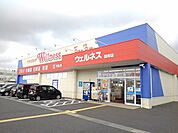 【ドラッグストア】ウェルネス国府店まで750ｍ