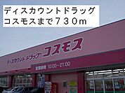 【ドラッグストア】ドラッグコスモスまで730ｍ