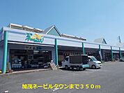 【スーパー】加茂ネービルタウンまで350ｍ