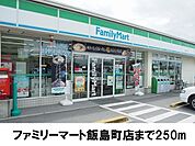 【コンビニエンスストア】ファミリーマート飯島町店まで250ｍ