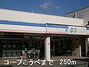 【スーパー】コープこうべまで250ｍ