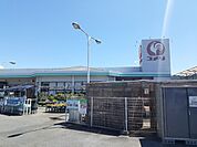 【ホームセンター】コメリさんまで350ｍ