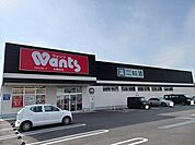 【ドラッグストア】ウォンツ光島田店まで1800ｍ