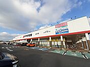 【ドラッグストア】くすりのアオキ土浦おおつ野店まで1300ｍ