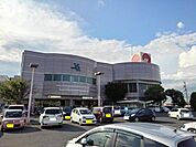 【スーパー】マルナカ坂出店まで1100ｍ