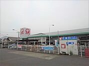 【ホームセンター】コメリ三野店まで1300ｍ