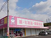 【ドラッグストア】クスリ岩崎チェーン光井店まで1000ｍ