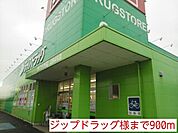 【ドラッグストア】ジップドラッグ様まで900ｍ