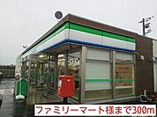 【コンビニエンスストア】ファミリーマート様まで300ｍ