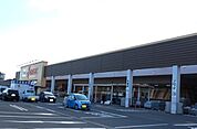 【ホームセンター】DCMホーマック城南店まで1700ｍ
