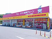 【ドラッグストア】クスリ岩崎チェーン永源山公園店まで1500ｍ