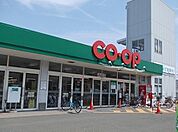 【スーパー】みやぎ生協多賀城店まで1800ｍ