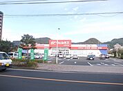 【ドラッグストア】ウェルネス 大田中央店まで650ｍ
