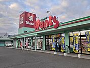 【ドラッグストア】ウォンツ府中店まで700ｍ