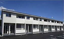 Regulus（レグルス） 206