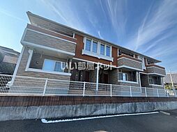 マンダリーノ　白石