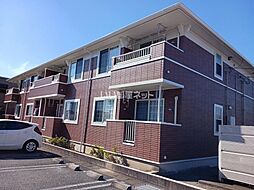 サンフラワーＤ