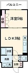 ラフィーノ山手 5階1LDKの間取り