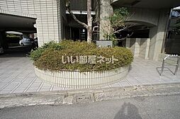 6 / 18