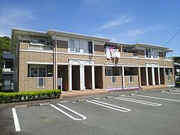 プリムローズ　Ｂ