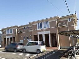 ホワイトリリーＢ 205