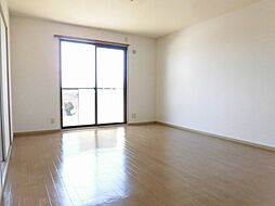 セジュール一ツ木 205 2階2LDKのリビング/ダイニング