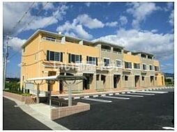 ニュー・ガジュマル