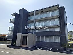 ピーノ　グランデ 101