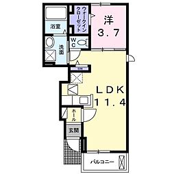 サウスパークII 1階1LDKの間取り