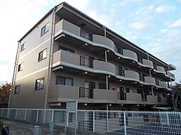 ピソ・キタノ 406