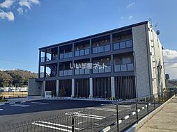 カルセドニー 101