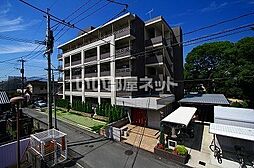 Ｓｏｌ　Ｌｅｖａｎｔｅ　国府 406