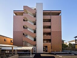 ステーラ・ルーチェ