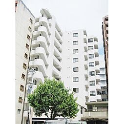 ベルシティ五橋 404