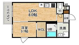 modern palazzo出雲 4階1LDKの間取り