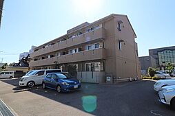 Ｂａｎｙａｎ Ｔｒｅｅ（バニヤン ツリー） 207