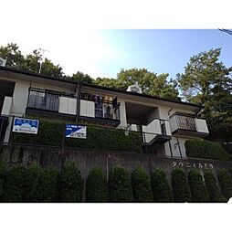 タウニィみどり