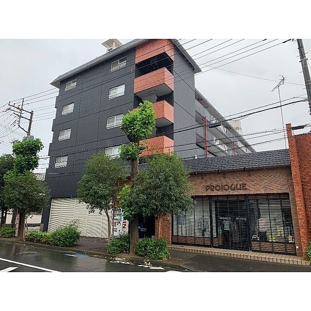 6 / 20