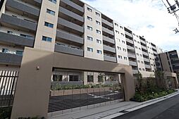 サンジョイアゼロ 204