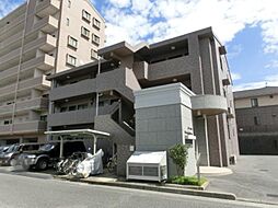 ウィステリアブロッサム