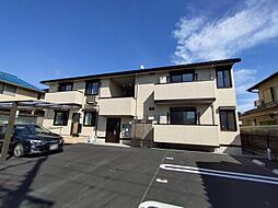 Vrai　Soleil（ヴレ・ソレイユ） 202