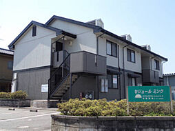 セジュール　ミンク