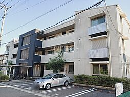 グランマスト高？