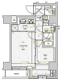 PREMIUM CUBE 両国DEUX 4階1LDKの間取り